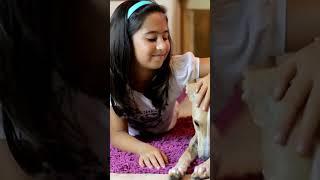California Renters' Guide to Pet Rights: Landlords CAN'T Do This to Your Pets!