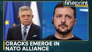 Russia-Ukraine War | Zelensky: Slovak PM Helping Putin | World News | WION Fineprint