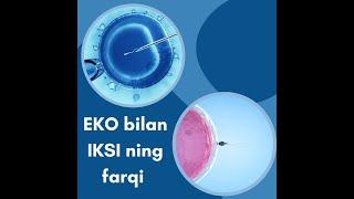 EKO bilan IKSI ning farqi haqida malumot #bepushtlik #eko #homiladorlik #kista #mioma #jinsiyhayot