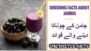 Shocking and Interesting Facts About Jambul Which you have never heard