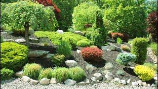 GARDEN and LANDSCAPE Creative Design Ideas 2024 - Home Flowers Decoration Part.195