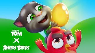 Angry Birds X Talking Tom 🪺 Now You See... Egg