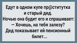 Как Дед в Купе с Девицей Спал! Сборник Свежих Анекдотов! Юмор!