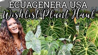 Ecuagenera USA TOUR & HAUL, Plant Shopping, Tropical Plants Online, Houseplants, Foliage Plants
