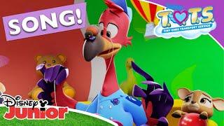 Music compilation | ‍‍ T.O.T.S. | Disney Junior Africa