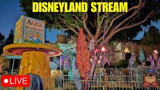  Live: Saturday Stream at Disneyland! - Fantasmic, Mickey's Mix Magic & World of Color - 02/22/25