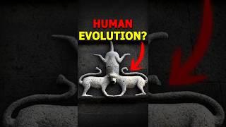 Did Indians Discover Evolution Theory?