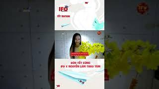 IFO Tết 2022 | Đón Tết cùng IFO x Nguyễn Lâm Thảo Tâm | #shorts