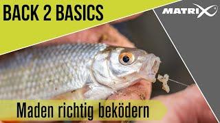 *** MATCH ANGELN TV *** Back 2 Basics - Maden richtig beködern