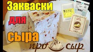 Закваски для сыра//Где купить //Как выбрать//Как доставить//На что обратить внимание