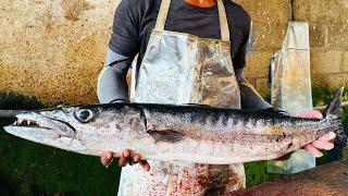 OMG !! Giant Barracuda Fish Cutting in Biggest Sea Side Fish Market