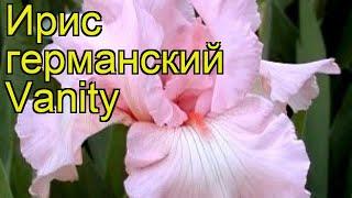 Ирис германский Суета. Краткий обзор, описание характеристик iris germanica Vanity