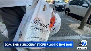 Here's how California's new plastic bag ban will impact you