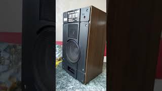 Советские колонки Радиотехника S-30B Hi-Fi