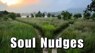 Soul Nudges