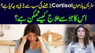 What is the main cause of increased stress hormone cortisol | Dr Sahar Chawla