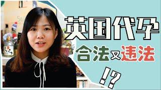 “代孕”在英国合法吗|什么是“利他主义”规则|为什么代孕是 “跨国难题”？UK Pregnant Surrogacy & IVF (Eng Sub)