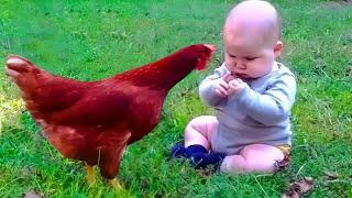  [LIVE] BABY AND ANIMALS - Funny Cute Babies Playing With Pets || Cool Peachy