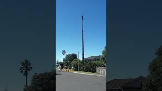 #wow Amazing to watch Alex from Tree Lords do his work in really windy conditions. #arborist