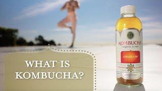 What Is Kombucha? History & Benefits | GT's Kombucha