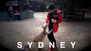 How I spent my summer 3 years ago! - Explore Sydney [HD]