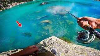 Fly Fishing NEON BLUE Water! Hiking and Fishing Rocky Mountain National Park