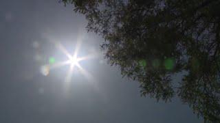 Communities struggle as heat scorches Eastern Canada