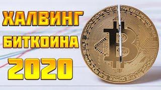 Биткоин халвинг 2020 дата, история, график, прогноз курса. Что такое Bitcoin Halving