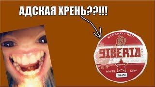 ВОТ ЧТО СО МНОЙ СДЕЛАЛ СНЮС SIBERIA! ОБЗОР СНЮСА СИБЕРИЯ(SIBERIA SLIM)