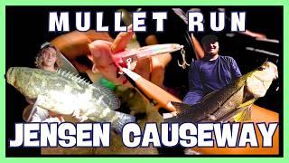 JENSEN BEACH CAUSEWAY!  ( MULLET RUN ) Snook gets REVENGE! TWICE!