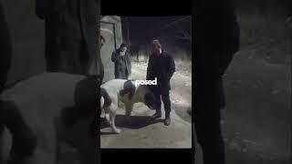 Never Put Your Hand Over An Unknown Dog!