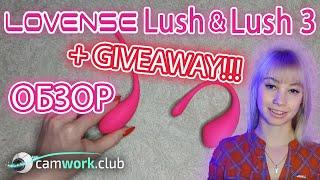 Распаковка Lovense Lush 3, сравнение с первым Lush. Розыгрыш игрушки!  Всё про вебкам