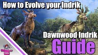 ESO: How to Evolve the Nascent Indrik Mount - Q1 Dawnwood Indrik Mount Guide