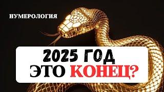 НУМЕРОЛОГИЧЕСКИЙ ПРОГНОЗ НА 2025 ГОД ЗМЕИ, РАСЧЁТ ЛИЧНОГО ЧИСЛА КАРМЫ И СУДЬБЫ,РЕКОМЕНДАЦИИ ДЛЯ ВСЕХ