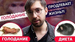 Голодание продлевает или СОКРАЩАЕТ жизнь?! Разбор исследований