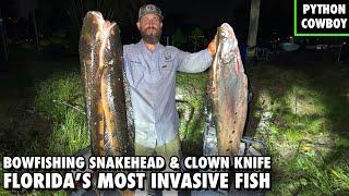 Bowfishing For The Most Invasive Fish In Florida