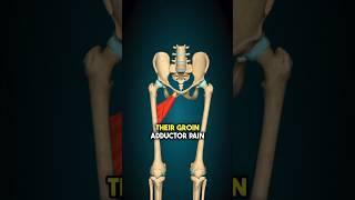 Groin/Adductor Guide