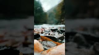 The Voice of Water | Soothing Sounds for Deep Relaxation & Meditation #meditation   #healingsounds
