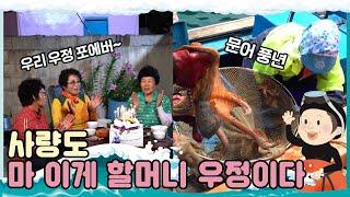 [섬마을 할매 시즌1]  사량도1편 l 사람이 3명이라 3배 더 재밌당!  l 마 이것이 할머니들의 찐 우정이다