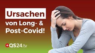 So finden Sie die wahren Ursachen von Long- und Post-Covid! | Naturmedizin | QS24