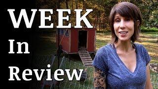 What HAPPENED On the Homestead? | July 15, 2017