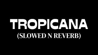 GLOXINIARR - TROPICANA (SLOWED N REVERB) (prod. @gloxiniarr)