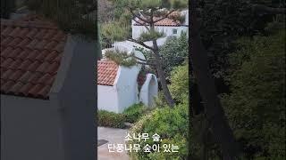 더위를 즐기는방법 #태안펜션 #태안여행 #안면도펜션#가족여행  #그람피하우스#독채펜션