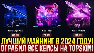 САМЫЙ ЛУЧШИЙ МАЙНИНГ В 2024 ГОДУ НА TOPSKIN! ОГРАБИЛ ВСЕ КЕЙСЫ! ДОРОГОЙ ОПЕНКЕЙС НА ТОПСКИН!