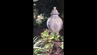 Garden Tour:  White and Blue Handpainted Jar, Narcissus Paperwhite, Daylilies and Rosa 'Mary Rose'