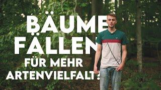 Bäume fällen für den Naturschutz? - Forst erklärt