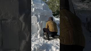 Building an igloo asmr / Winter bushcraft camping -10°C #shorts
