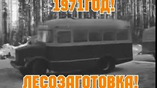 ХРОНИКА СССР! 1971 ГОД! ЛЕСОЗАГОТОВКА!