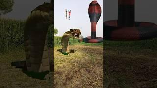 magic snake video #youtubeshort #2023 #trending #viral  #vfx Khalnayak