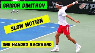 Grigor Dimitrov  one handed backhand  slow motion  ATP tennis 2023 